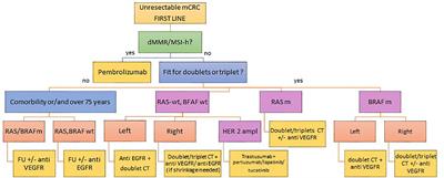 Optimizing the first-line treatment for metastatic colorectal cancer